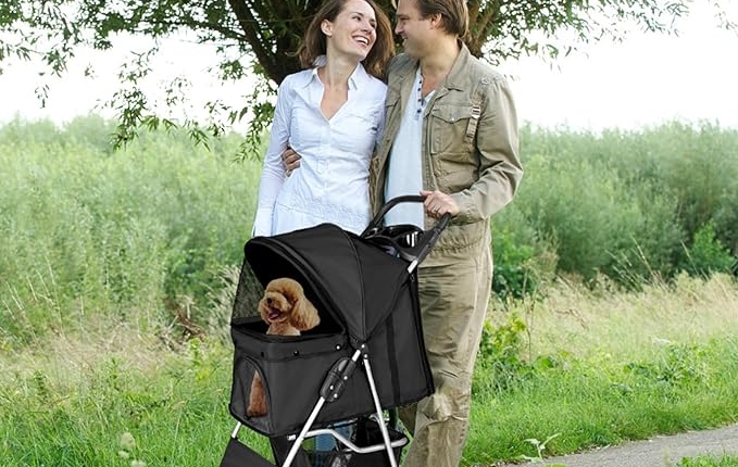 passeggino per cani Pawhut