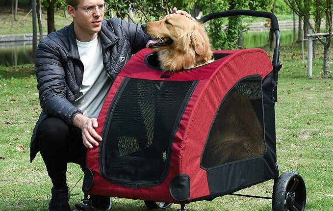 migliori passeggini per cani