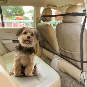 reti divisorie viaggiare con il cane passegginicane.it