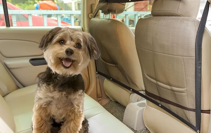 reti divisorie viaggiare con il cane passegginicane.it